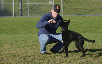 a vet and trauma REU student and his dog